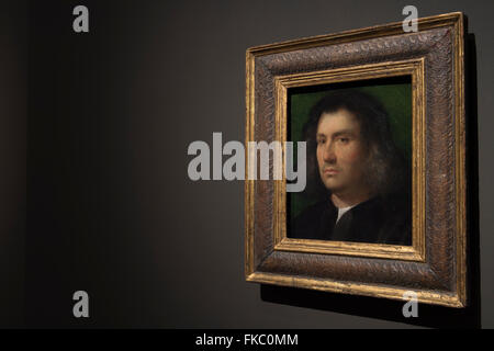 Royal Academy of Arts, Londres, Royaume-Uni. 8 mars, 2016. Portrait d'un homme, le Portrait de Terris. L'un des deux seuls tableaux de l'exposition RA directement attribuables à Giorgione, un artiste dont on sait peu de choses. À l'âge de Giorgione, une enquête de la Renaissance vénitienne durant la première décennie du xvie siècle. Credit : artsimages/Alamy Live News Banque D'Images