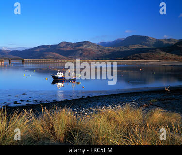 Bateau de pêche sur l'estuaire de Mawddach à Barmouth, Gwynedd, Pays de Galles, Royaume-Uni. Vues de montagnes en Snowdonia. Banque D'Images