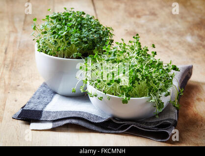 Le brocoli frais et à la roquette psrout on wooden table Banque D'Images