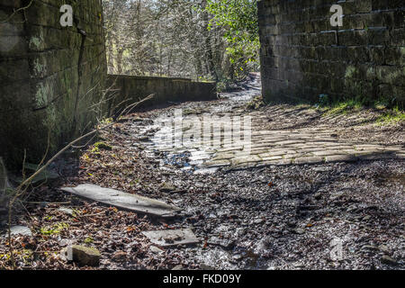 Voie pavée menant à une ancienne usine qui est maintenant envahi par la végétation et l'abandon. Banque D'Images