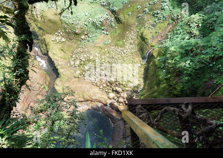 High angle view of rocks couverts par les algues dans une forêt, Costa Rica Banque D'Images