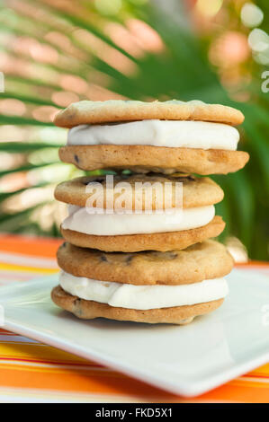 Pile de biscuit aux brisures de chocolat et sa glace vanille sandwiches avec un fond tropical Banque D'Images