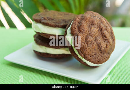 Ice cream Sandwich - double chocolate chip cookie avec glace à la menthe avec fond tropical Banque D'Images