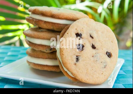 Ice cream Sandwich - biscuit aux brisures de chocolat, glace vanille avec fond tropical Banque D'Images