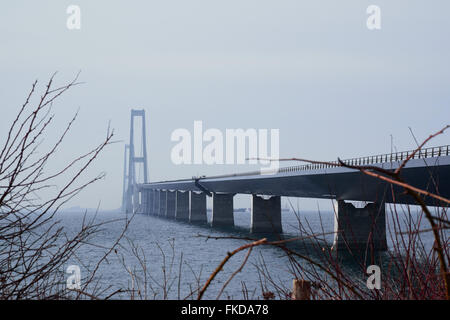 Pont du Grand Belt vu de la végétation environnante sur le côté Sealand Banque D'Images