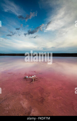 Le lagon rose à Port Gregory, l'ouest de l'Australie Banque D'Images