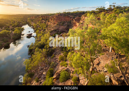 Le Hawk's Head Lookout sur la Murchison River Gorge, le Parc National de Kalbarri, Australie occidentale Banque D'Images