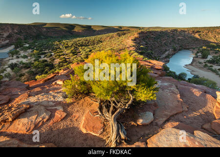 La Murchison River Gorge de fenêtre de natures, le Parc National de Kalbarri, Australie occidentale Banque D'Images