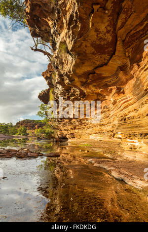 La Murchison River gorge à Ross Graham, le Parc National de Kalbarri, Australie occidentale Banque D'Images