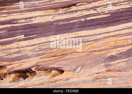 Des couches de roches dans la gorge de la rivière Murchison à Ross Graham, le Parc National de Kalbarri, Australie occidentale Banque D'Images