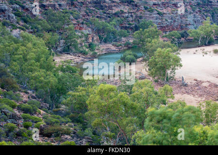 La Murchison River gorge à Ross Graham, le Parc National de Kalbarri, Australie occidentale Banque D'Images