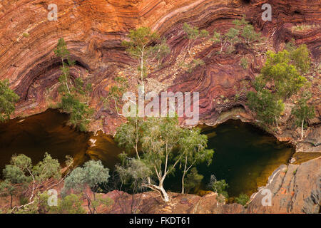 Hamersley Gorge, parc national de Karijini, Pilbara, Australie occidentale Banque D'Images