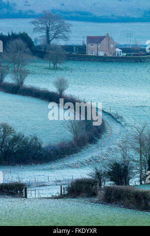 Un matin d'hiver glacial près de Milborne Port, Somerset, England, UK Banque D'Images