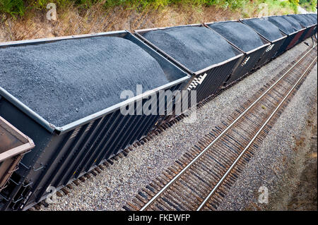 Ligne de transport du charbon des wagons du train voie Banque D'Images