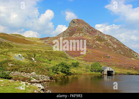 Les gens marcher autour du lac d'Cregennan Cadair Idris et Gwynedd au Pays de Galles Banque D'Images