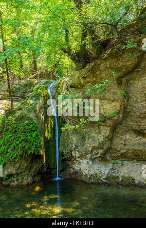 La Vallée des Papillons (PETA) Loudhes Rhodes Grèce Europe Banque D'Images