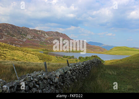 Paysage autour du lac de Cregennan et Bryn Brith Gwynedd au Pays de Galles Banque D'Images