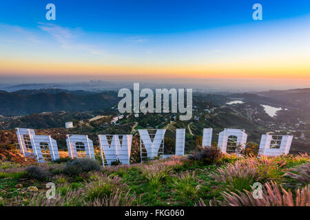 Le panneau Hollywood avec vue sur Los Angeles, Californie, USA. Banque D'Images