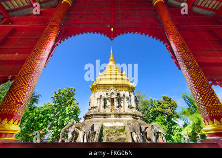 Chiang Mai, Thaïlande au Wat Chiang Man. Banque D'Images