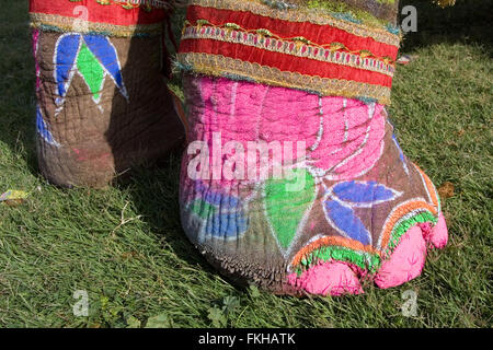 Au cours du festival de l'éléphant pendant holi célébration hindoue,à Jaipur, Rajasthan, Inde, Asie. Banque D'Images