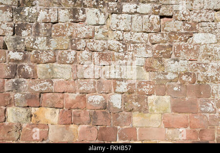 Au mur de la cour intérieure du château de Moreton Corbet, Shropshire. Banque D'Images