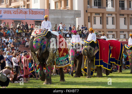 Au cours du festival de l'éléphant pendant holi célébration hindoue,à Jaipur, Rajasthan, Inde, Asie. Banque D'Images