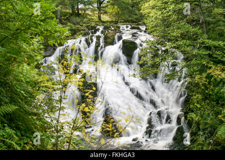 Swallow Falls Cascade, Betws-Y-Coed Banque D'Images