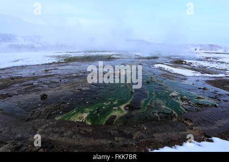 Neige de l'hiver, sources géothermiques à Strokkur Geysir, vallée de Haukadalur, sud-ouest de l'Islande, l'Europe. Banque D'Images