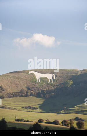 Grand cheval de craie sur colline au-dessus de Somerset, Angleterre,Westbury,Royaume-Uni, Banque D'Images