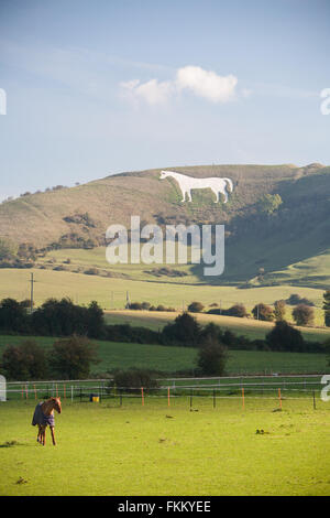 Grand cheval de craie sur colline au-dessus de Somerset, Angleterre,Westbury,Royaume-Uni, Banque D'Images