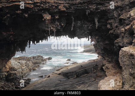 Caverne à Admirals Arch à Cape du Couedic dans le parc national de Flinders Chase sur Kangaroo Island, Australie du Sud, Australie. Banque D'Images
