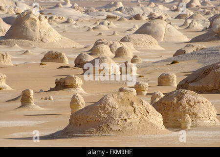 Yardangs, formations rocheuses dans le désert blanc, Egypte Banque D'Images