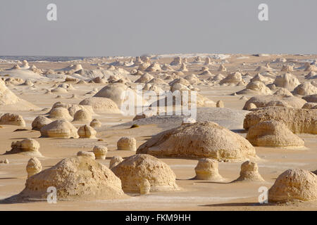 Yardangs, formations rocheuses dans le désert blanc, Egypte Banque D'Images