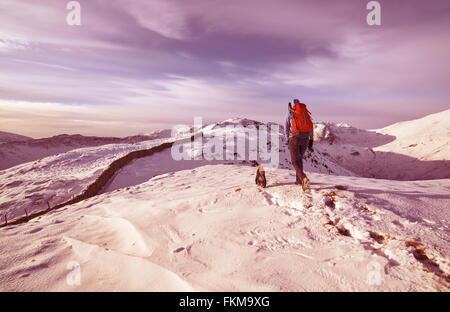 Randonnée randonneur leur chien sur les montagnes couvertes de neige au Royaume-Uni. La couleur du grain et styling appliqué Banque D'Images