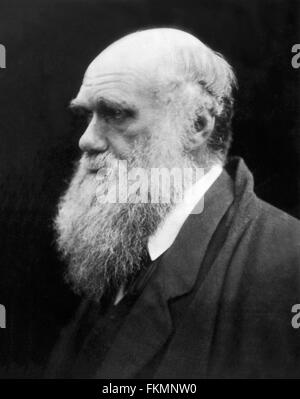 Charles Darwin. Portrait du naturaliste anglais Charles Darwin (1809-1882) par Julia Margaret Cameron, 1868 Banque D'Images