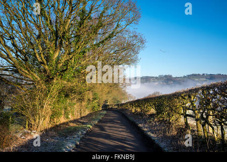 An English country lane sur un matin d'hiver glacial. La lumière du soleil casting shadows sur la route. Oiseaux volant dans le ciel bleu. Banque D'Images