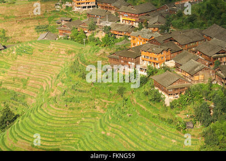 Les terrasses de riz de paysage et village en Chine Banque D'Images