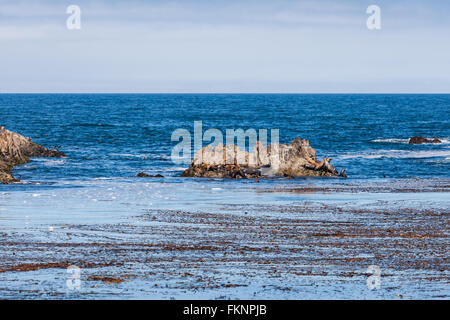 Seal Rock, 17 Mile Drive, Californie, USA - 1 juillet 2012 : La 17 Mile Drive est une route pittoresque à travers Pacific Grove et de galets, être Banque D'Images