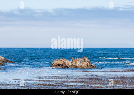 Seal Rock, 17 Mile Drive, Californie, USA - 1 juillet 2012 : La 17 Mile Drive est une route pittoresque à travers Pacific Grove et de galets, être Banque D'Images