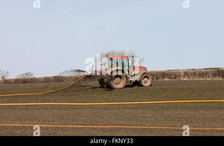 Mettre la pulvérisation du tracteur,le fumier,muck répandre sur terrain près de National Botanic Garden, Carmarthenshire, Pays de Galles, Royaume-Uni,engrais,diffusion,UK, Banque D'Images