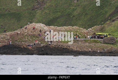 Balades touristiques sur le Giant's Causeway, comté d'Antrim, en Irlande du Nord avec les passagers d'autobus de navette à côté de Causeway. Banque D'Images