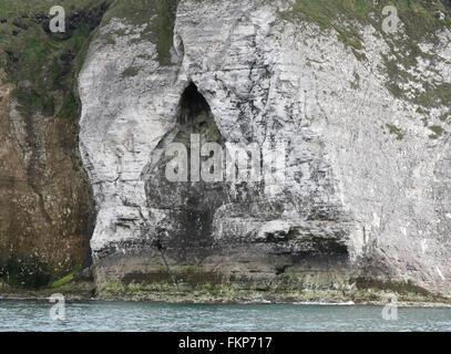 As de Pique en forme de falaises calcaires, sur la côte nord-ouest de l'Irlande du Nord à l'rochers blancs, Portrush, comté d'Antrim. Banque D'Images