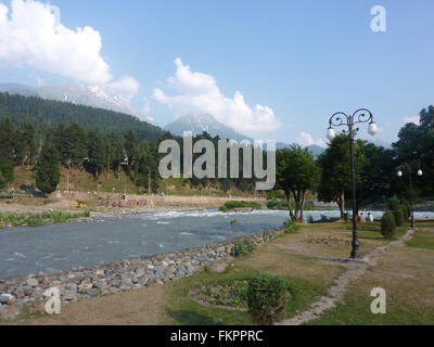 Rivière Lidder, Pahalgam, Cachemire, originaires de glacier 5400 Kolhoi m alt, dans la région de Lidderwat, exécute 30 km pour arriver à Pahalgam Banque D'Images