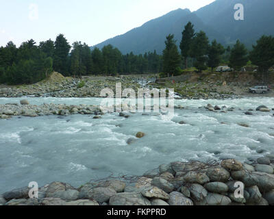 Rivière Lidder, Pahalgam, Cachemire, originaires de glacier 5400 Kolhoi m alt, dans la région de Lidderwat, exécute 30 km pour arriver à Pahalgam Banque D'Images