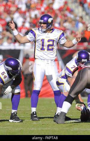 16 novembre 2008 - Tampa, Floride, USA - Minnesota Vikings quarterback Gus Frerotte (12) avant le match contre les Vikings Tampa Bay Buccaneers chez Raymond James Stadium le 16 novembre 2008 à Tampa, Floride Le Bucs a gagné 19-13. ZUMA Press/Scott A. Miller (crédit Image : © Scott A. Miller via Zuma sur le fil) Banque D'Images