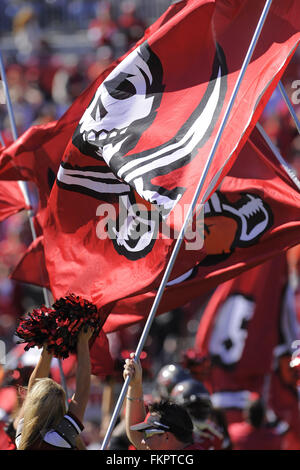 Tampa, Floride, USA. 16 Nov, 2008. Drapeaux boucaniers de Tampa Bay avant le Buccaneers-Minnesota jeu Vikings chez Raymond James Stadium le 16 novembre 2008 à Tampa, Floride ZUMA Press/Scott A. Miller © Scott A. Miller/ZUMA/Alamy Fil Live News Banque D'Images