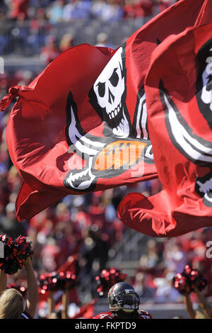 Tampa, Floride, USA. 16 Nov, 2008. 16 novembre 2008, à Tampa, FL, USA ; vue générale de Raymond James Stadium de Tampa Bay avant le Buccaneers-Minnesota Vikings jeu. ZUMA Press/Scott A. Miller © Scott A. Miller/ZUMA/Alamy Fil Live News Banque D'Images