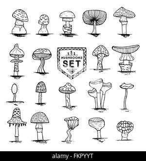 Set de champignons dessinés à la main, isolé sur fond blanc. Vector illustration. Éléments de conception. Doodle croquis illustration en noir Illustration de Vecteur