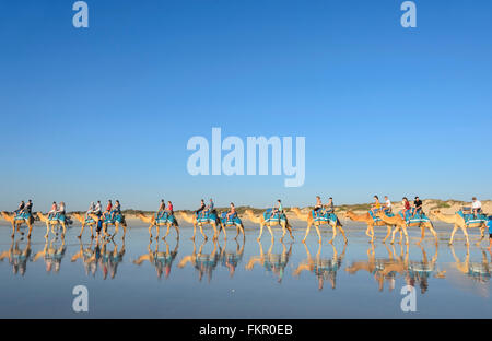 Train touristique du chameau sur la plage au coucher du soleil, Broome, région de Kimberley, en Australie occidentale, WA, Australia Banque D'Images