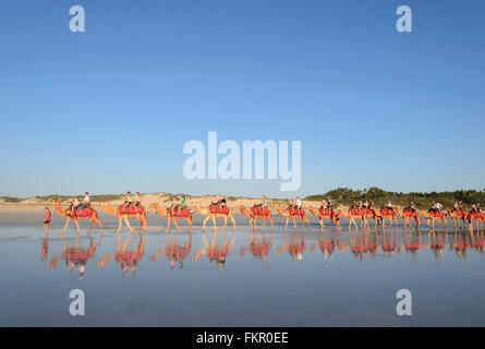 Train touristique du chameau sur la plage au coucher du soleil, Broome, région de Kimberley, en Australie occidentale, WA, Australia Banque D'Images